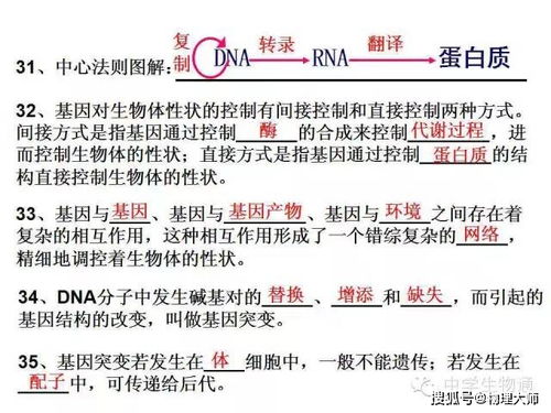 高中生物 复习资料,基础知识一篇打尽