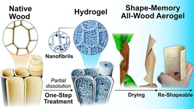 《ACS Nano》瑞典皇家理工大学李媛媛:木材细胞壁纳米重组制备坚固的形状记忆木质纤维素气凝胶!