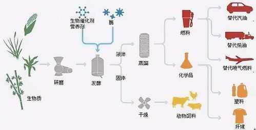 生物基材料 是什么 不妨了解一下,真环保的新材料