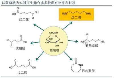 北斗智慧能源分享|化石替代需求强烈 生物基材料市场空间广阔